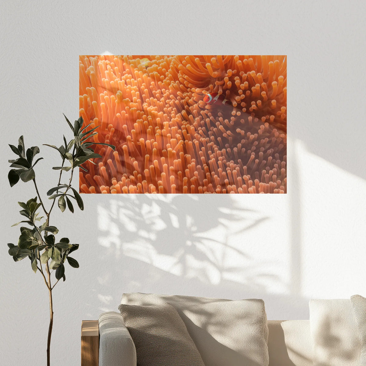 PO-120W080