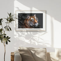 PNP093W062
