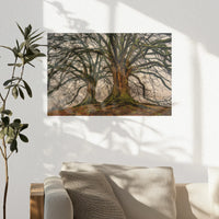 PO-045W030