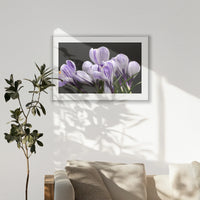 PSP120W080