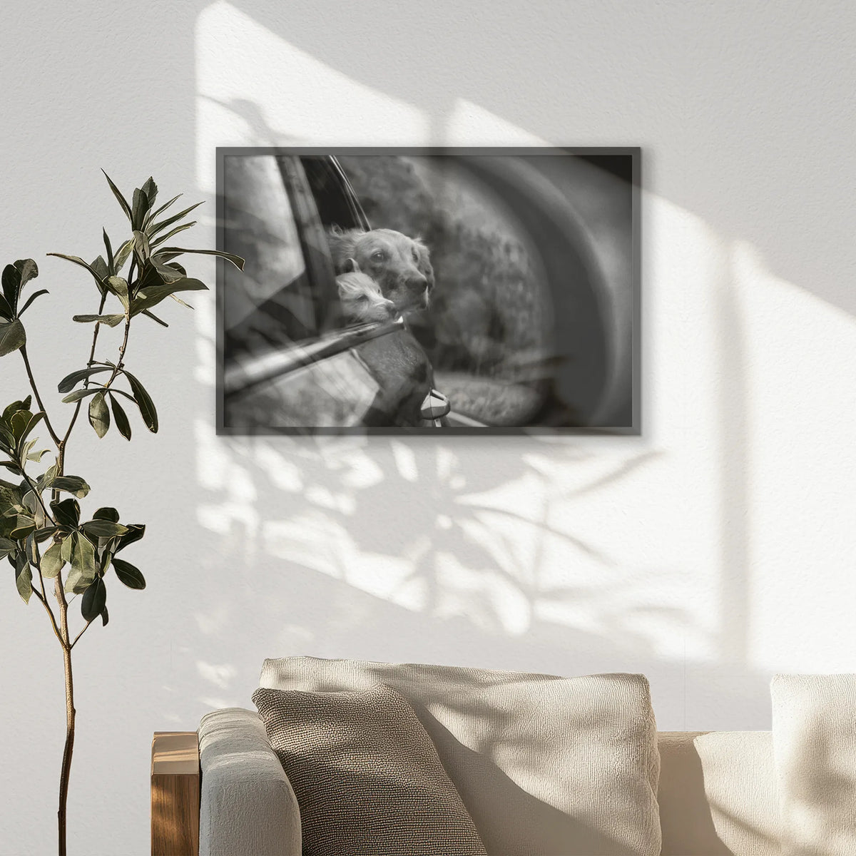 PK-093W062