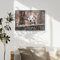 PB-060W040
