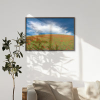 LWN100W070