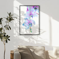 PK-062W093