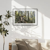 PBP093W062