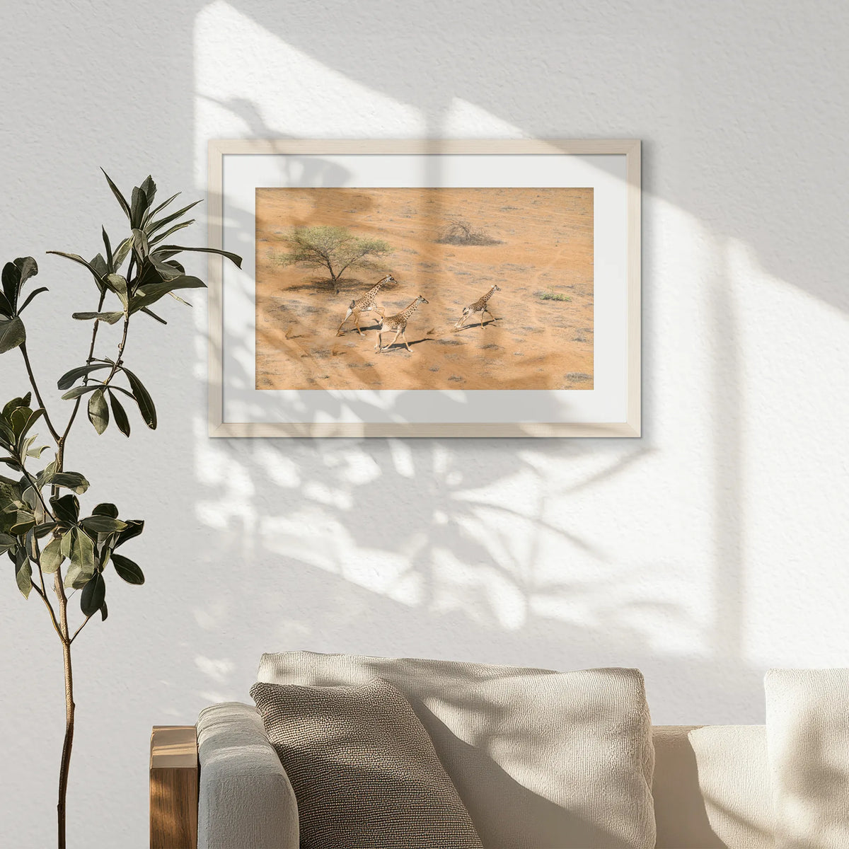 PNP060W040
