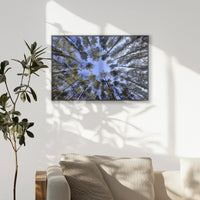 PB-093W062