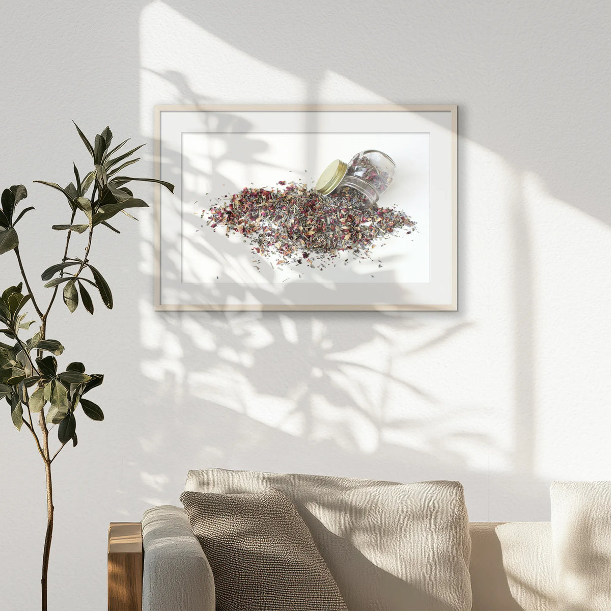 PNP093W062