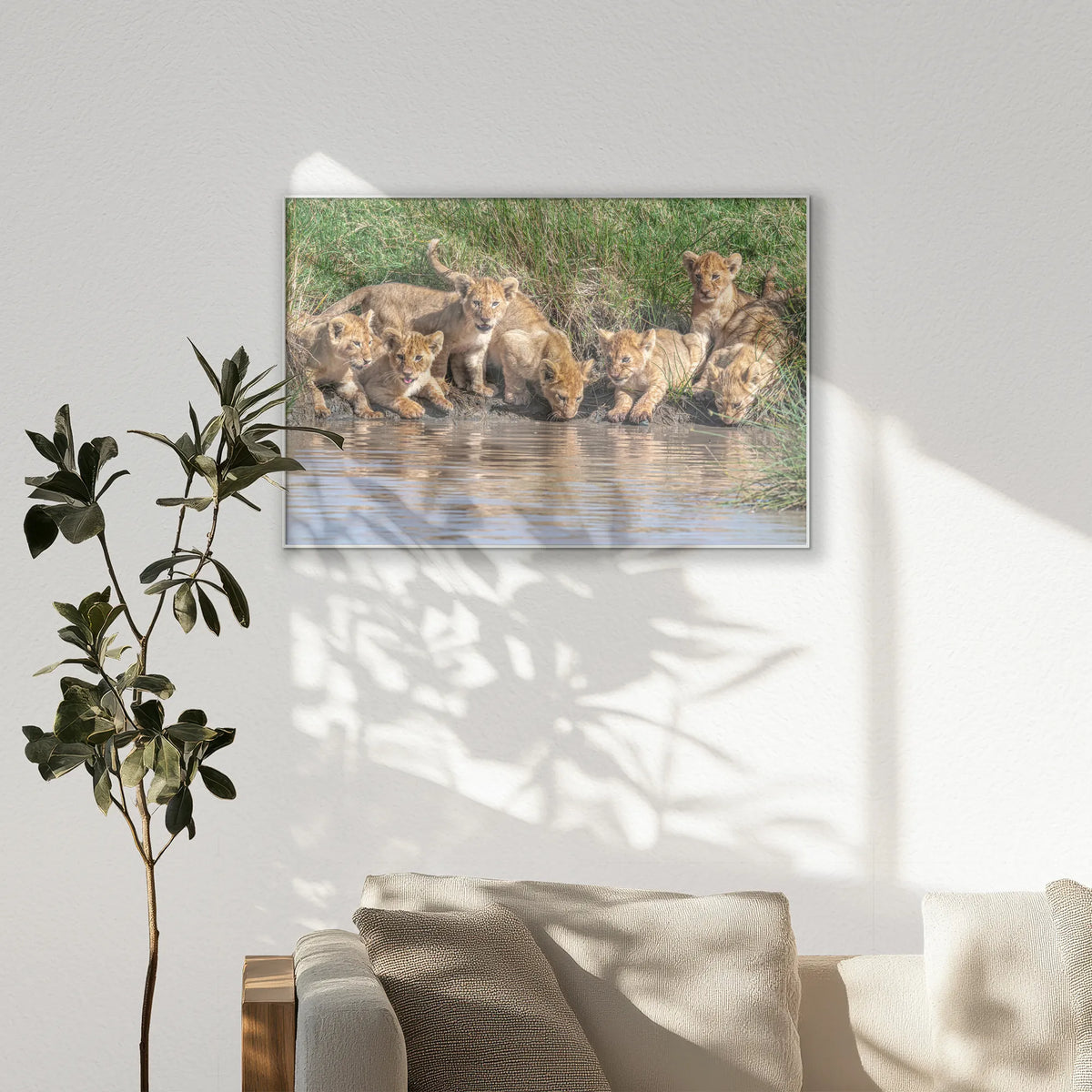PS-120W080