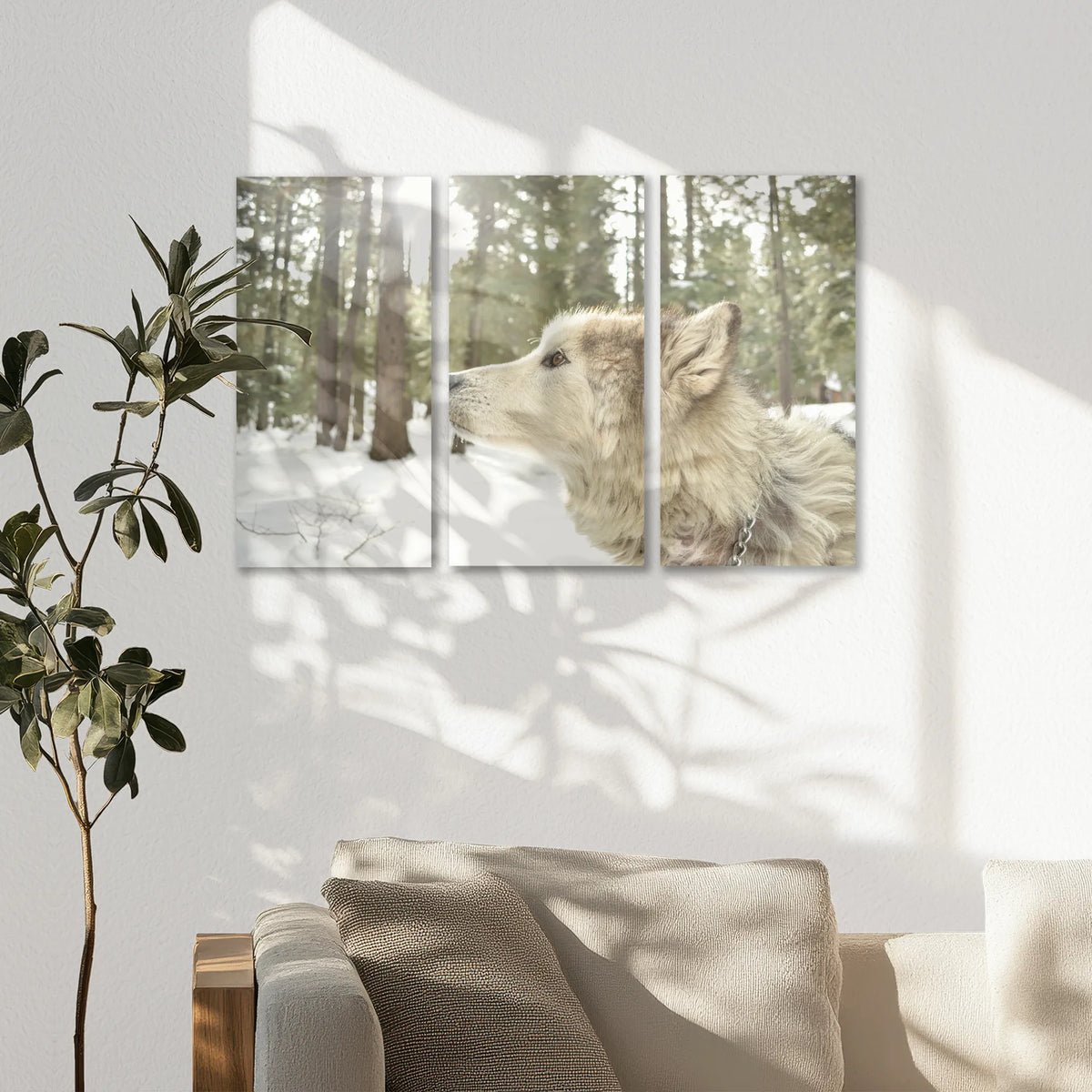 AC-090R060