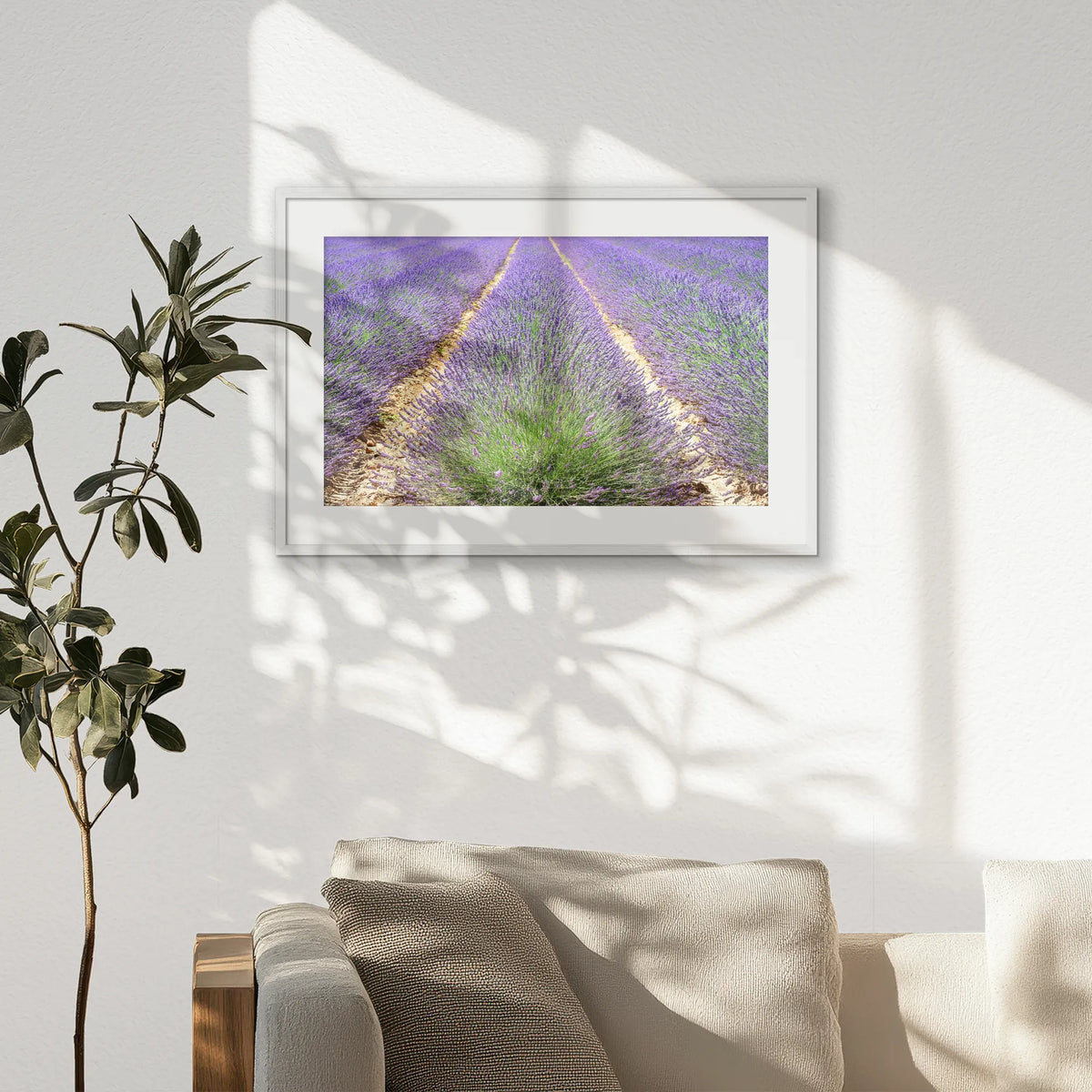 PWP093W062