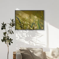 PK-100W070