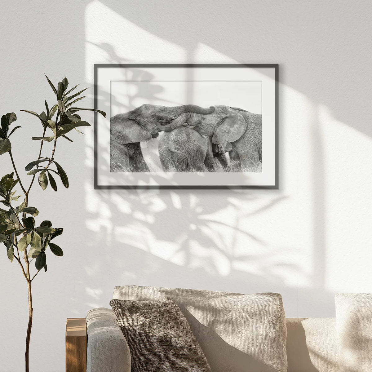 PKP093W062