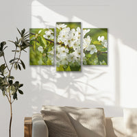 LW-090T060