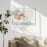 PWP093W062