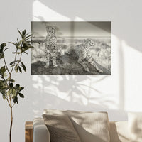 PO-060W040