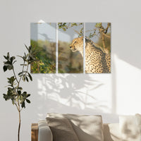 AC-120R080