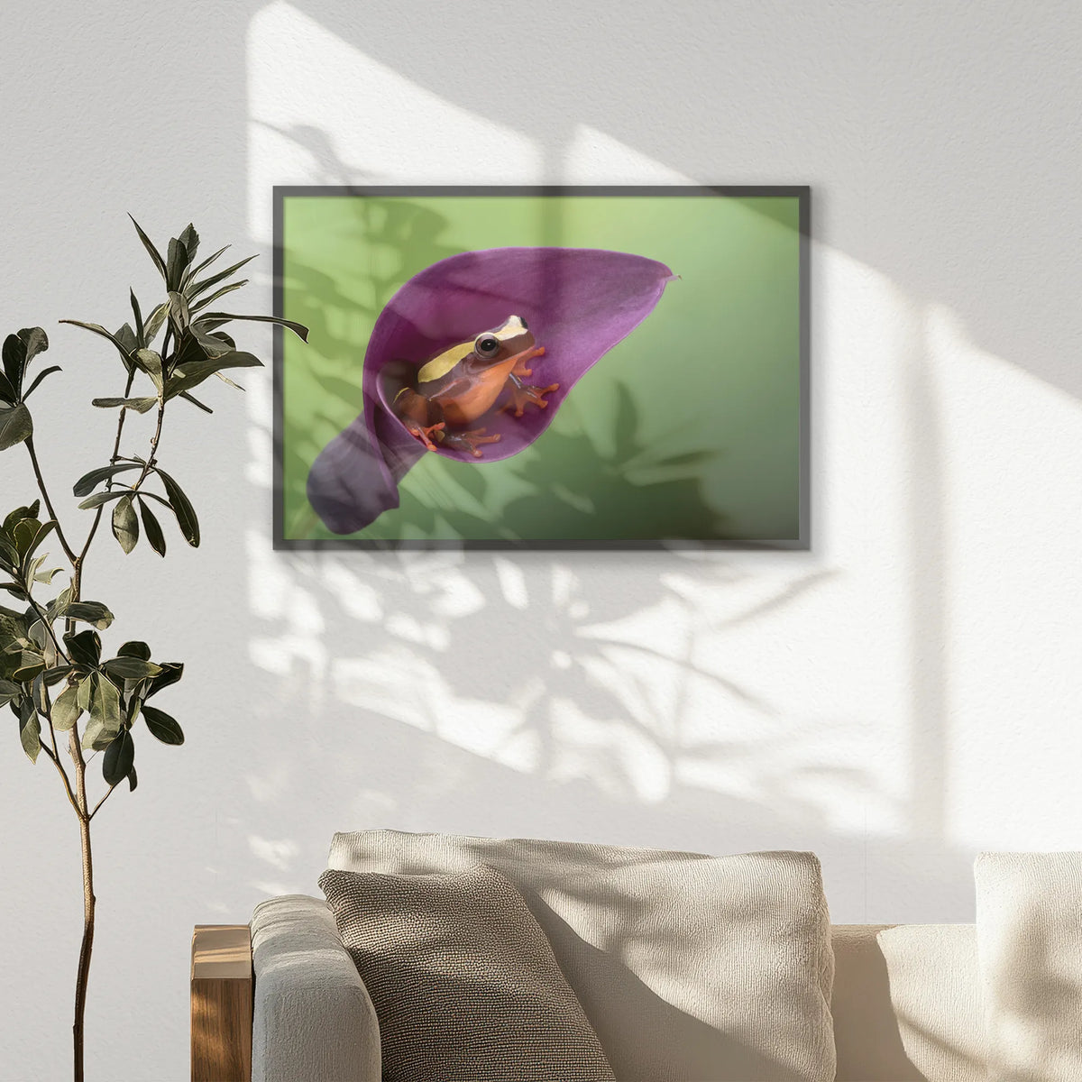 PK-093W062